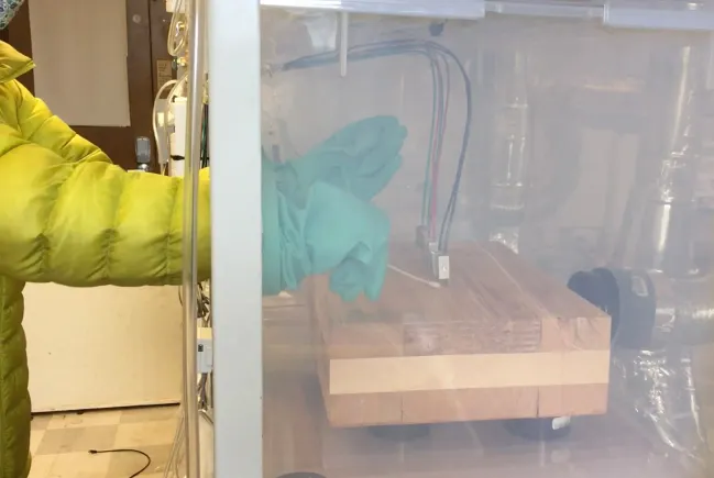 Study: Mass Timber May Inhibit Germs in Hospital Environments